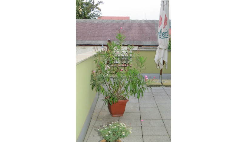 Penzion Černej pták Jindřichův Hradec